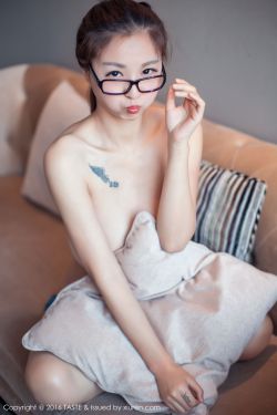 种子猫kittytorrent官网